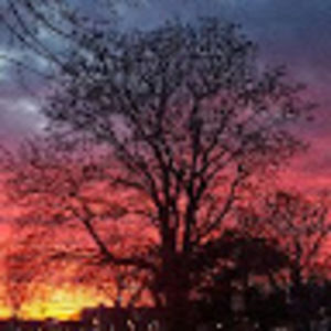 Meet your Posher, Lesley